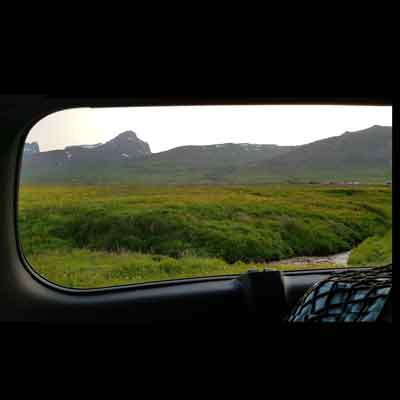 Ausblick aus dem Bett ins Grüne